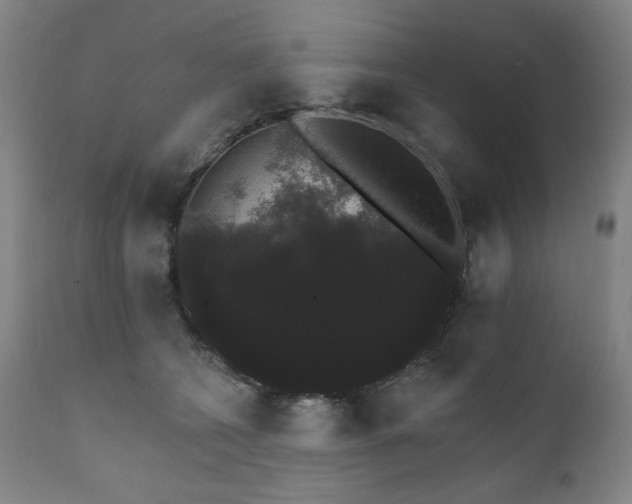 X0000111800562200907231213