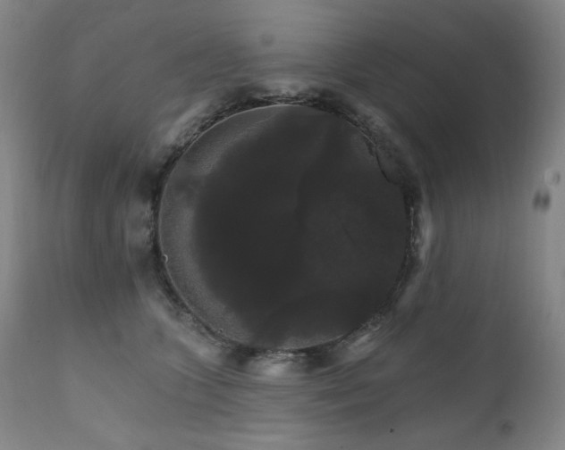 X0000111800563200907231213