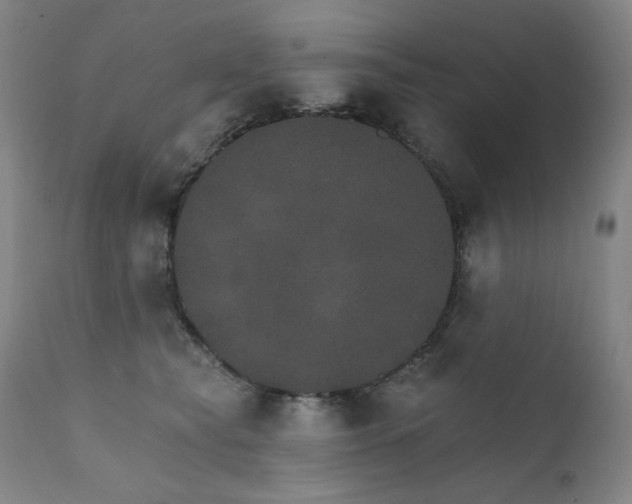 X0000111800565200907231213