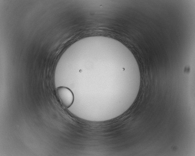 X0000111800566200907231213