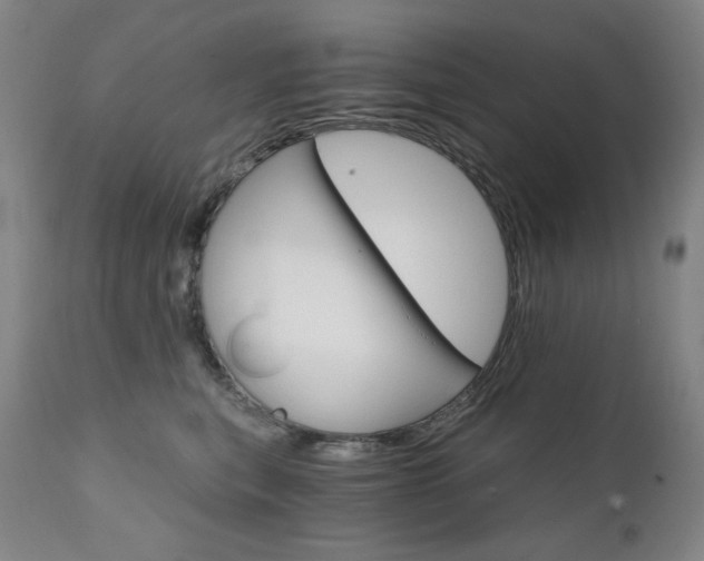 X0000111800567200907231213