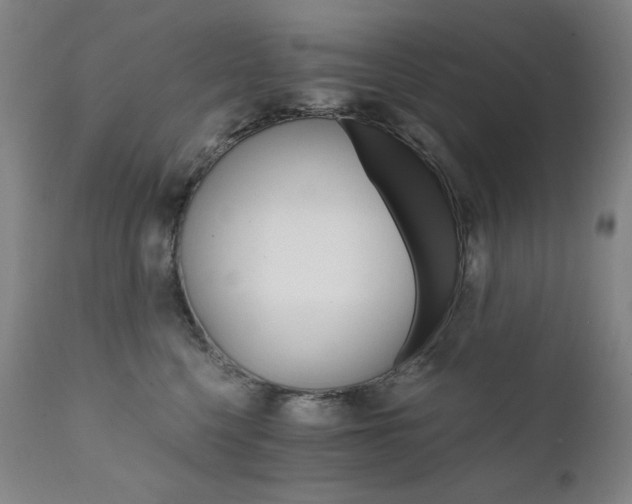 X0000111800568200907231213