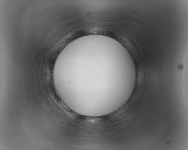 X0000111800569200907231213