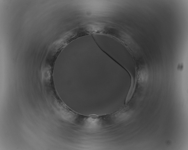 X0000111800570200907231213