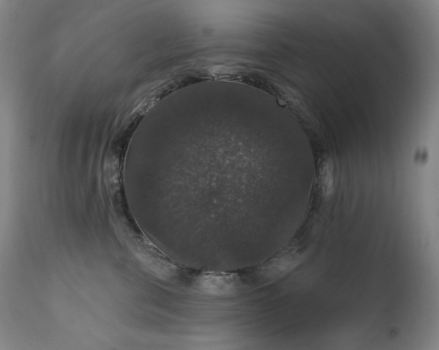 X0000111800571200907231213