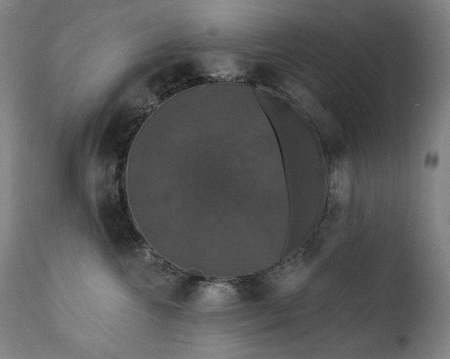 X0000111800572200907231213