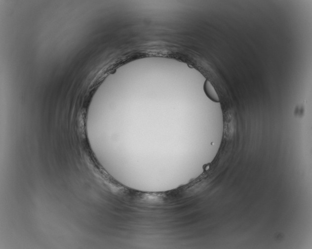 X0000111800573200907231213