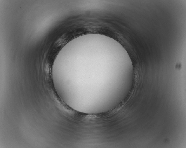 X0000111800574200907231213