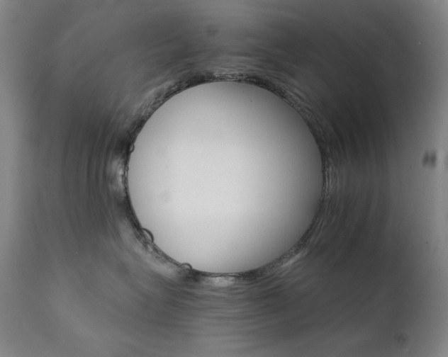 X0000111800575200907231213