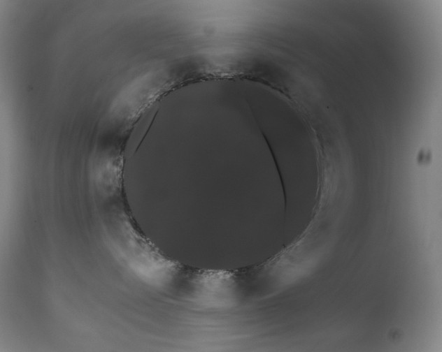 X0000111800576200907231213