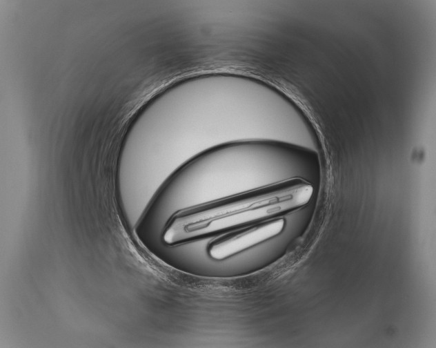 X0000111800577200907231212
