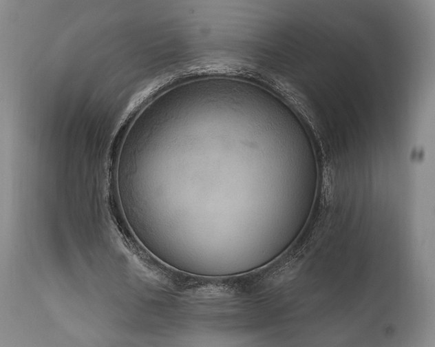 X0000111800578200907231212