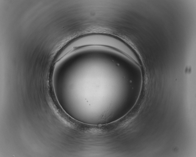 X0000111800581200907231212