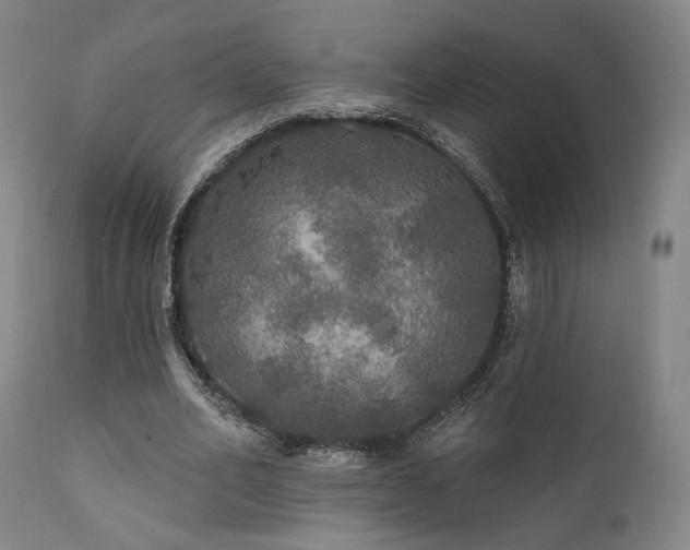 X0000111800582200907231212
