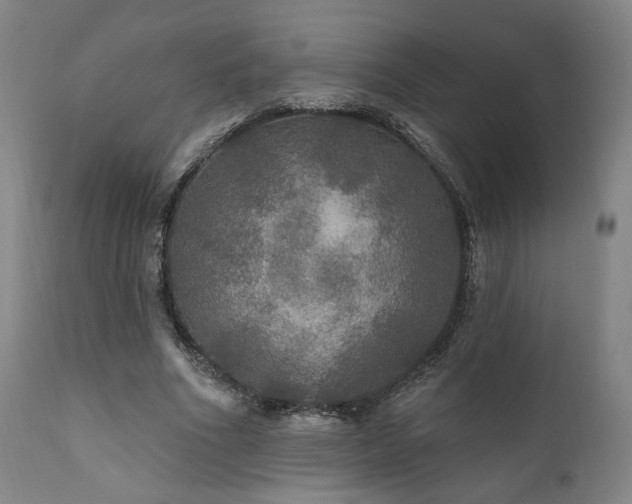 X0000111800586200907231212