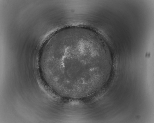 X0000111800587200907231212
