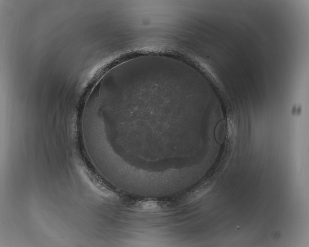 X0000111800588200907231212