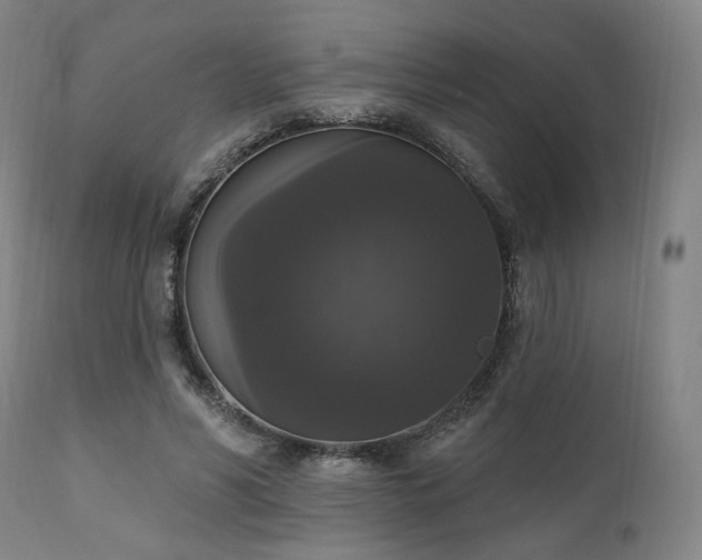 X0000111800590200907231212