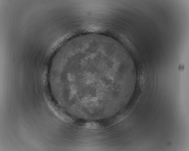 X0000111800591200907231212