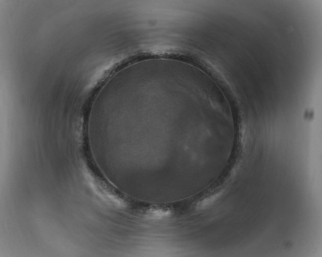 X0000111800592200907231212