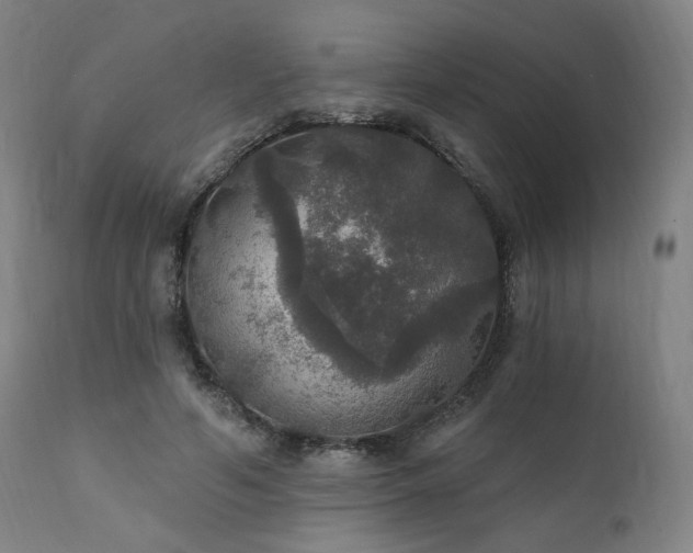 X0000111800594200907231212