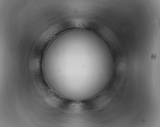 X0000111800595200907231212