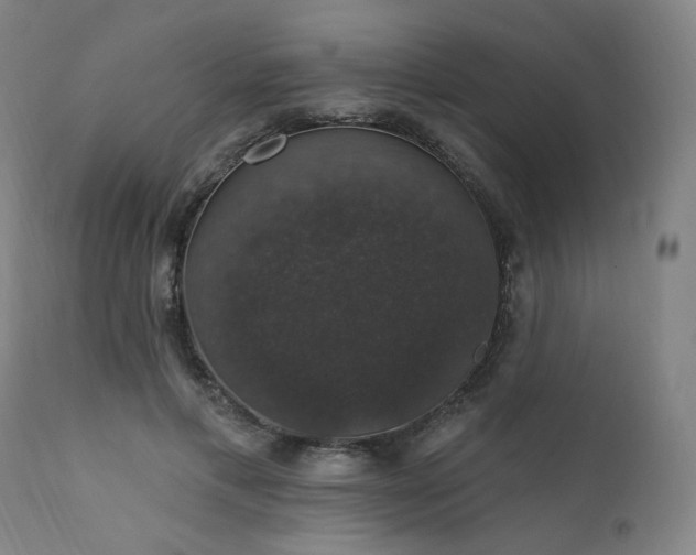 X0000111800597200907231212
