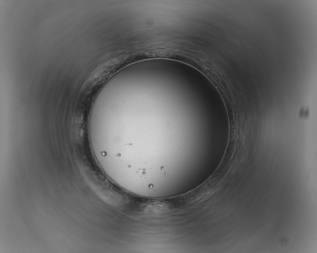 X0000111800599200907231212