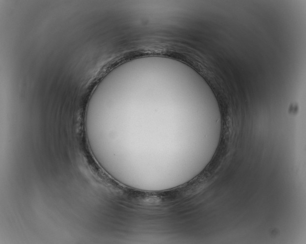 X0000111800600200907231212