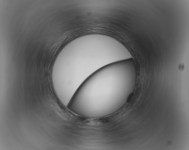 X0000111800601200907231212
