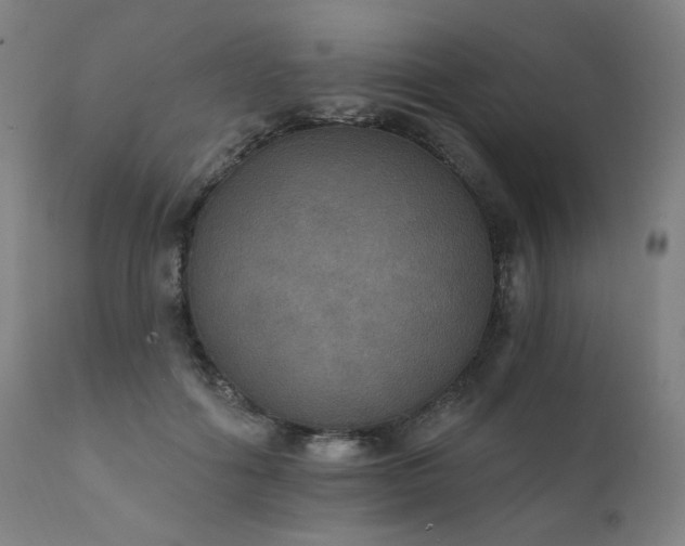 X0000111800602200907231212