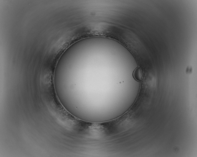 X0000111800603200907231212