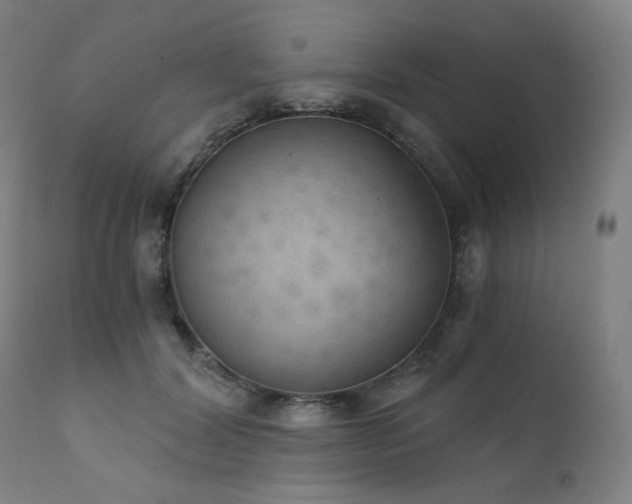 X0000111800604200907231212