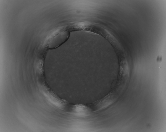 X0000111800605200907231212