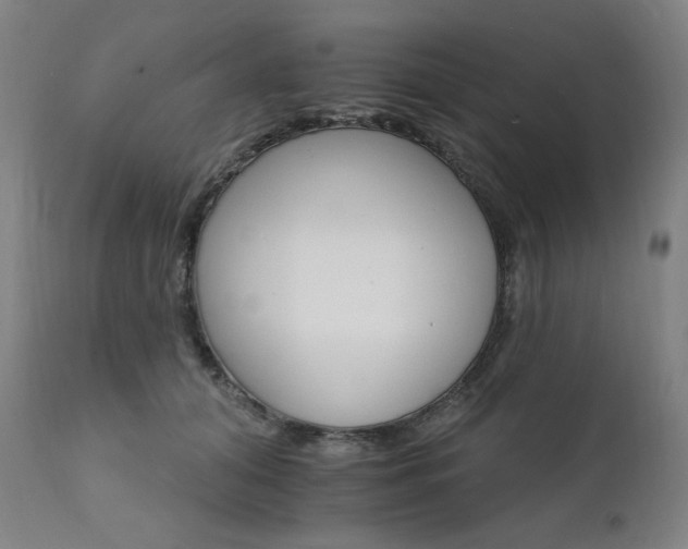 X0000111800608200907231211