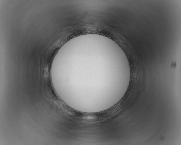 X0000111800610200907231211