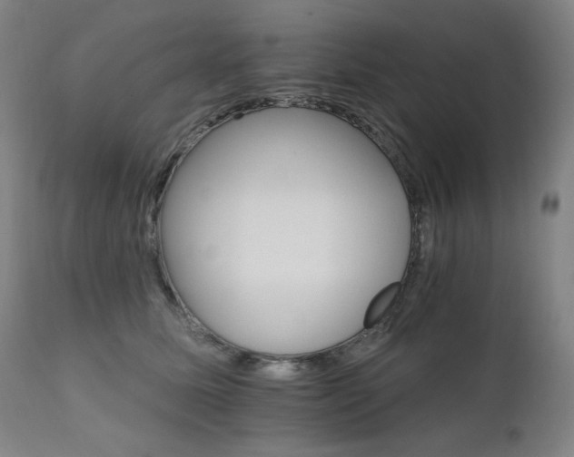 X0000111800611200907231211