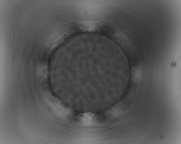 X0000111800612200907231211