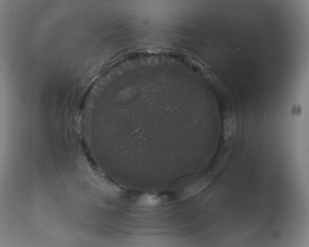 X0000111800613200907231211