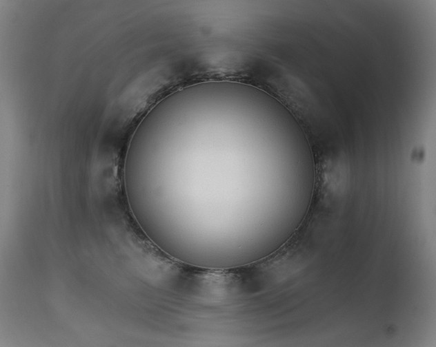 X0000111800615200907231211
