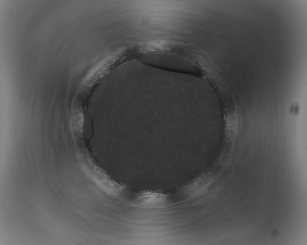 X0000111800617200907231211