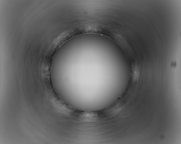 X0000111800619200907231211