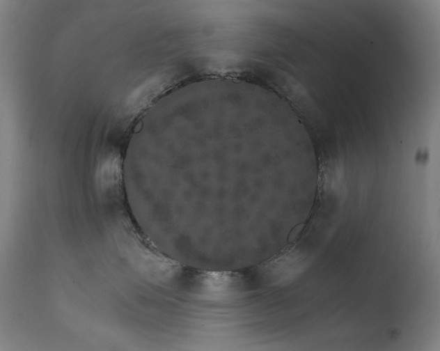 X0000111800623200907231211