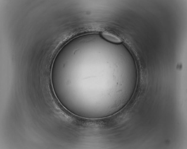 X0000111800625200907231211