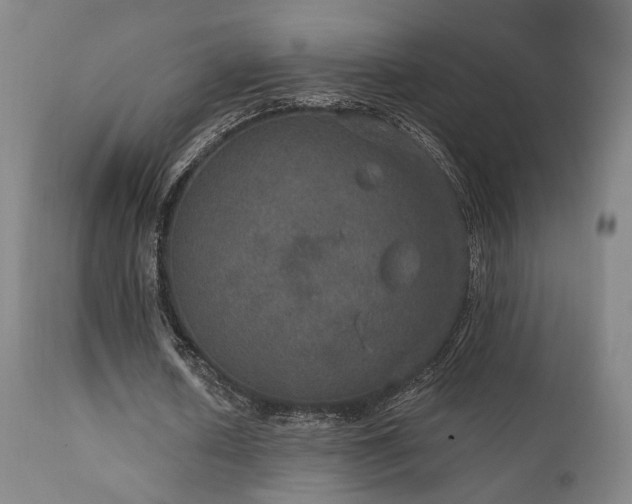 X0000111800626200907231211