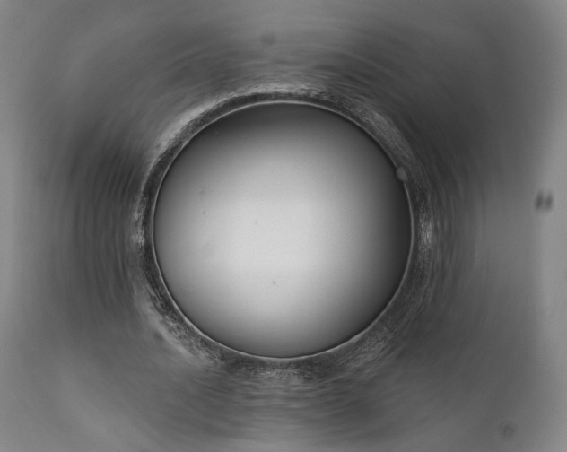 X0000111800628200907231211