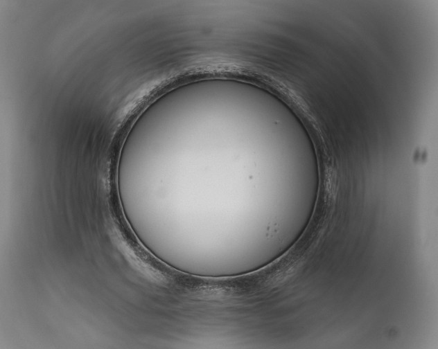 X0000111800629200907231211