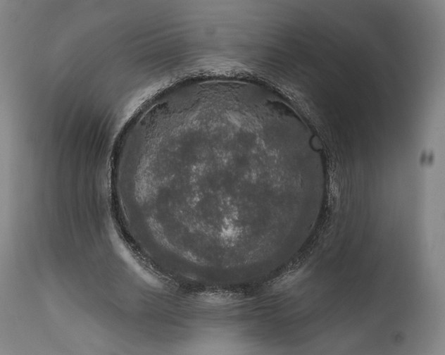 X0000111800630200907231211