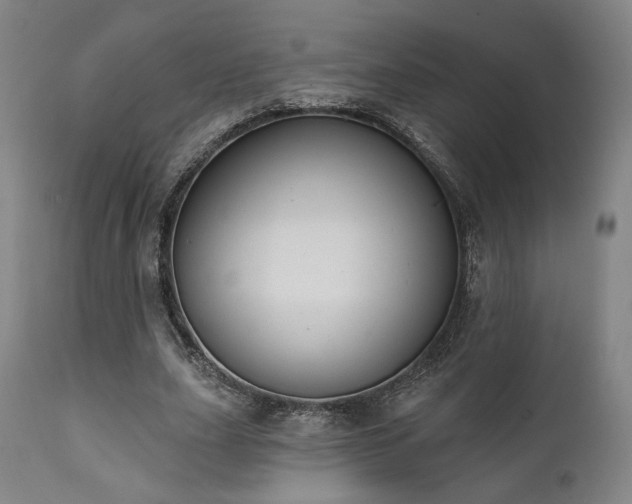 X0000111800631200907231211
