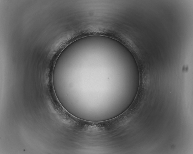 X0000111800635200907231211